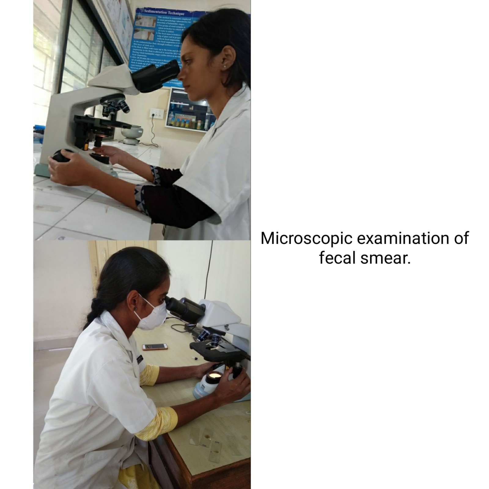 Microscopic Examination Of Fecalsmear